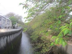 石神井川沿い
広徳寺の西側から川沿いに桜が続いています
もう少し早い時期だったらきれいだったでしょうね