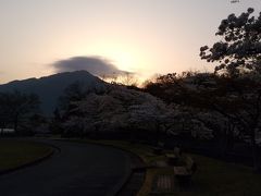 桜が咲いています。少し歩いてみよう。
あれはもしかして、比叡山？