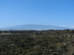 昨日は霧で全然見えなかったマウナケア山がキレイに見えるヨ！