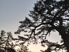 7:30の夜明けに間に合うように伊勢市駅から歩いてみました。
1時間位歩きました。朝のお散歩。