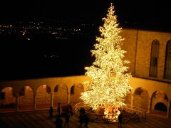 聖堂から下を見ると、イルミネーションのクリスマスツリーとアッシジの夜景。