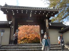 　１３：１５　岩倉実相院に到着。実相院は鎌倉時代に開山された元天台宗の門跡寺院で、幕末には岩倉具視も一時ここに住んでいたそうです。