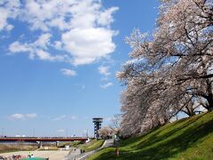 淀川河川公園背割堤地区