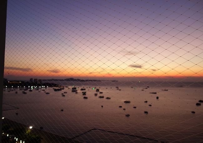 南向きの窓に行くが美しさは並みだった．．．それにしてもピントが網目に．．．いつまで経っても初心者。