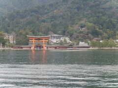 厳島神社の大鳥居が見えてきた。