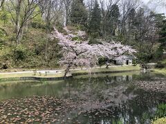 花冷えが続きます