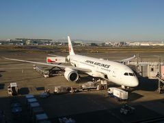 まずは大阪へ移動します。
今回はB787に搭乗します。国際線では何度か乗っていますが、国内線では初めてです。