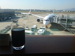次のフライトまで時間調整です。
先ほど乗ってきたB787が見えました。