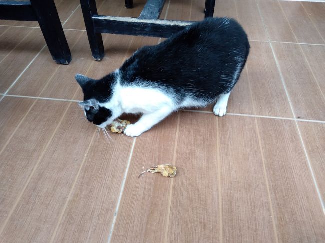 彼女は昨晩の残り物で朝ごはん