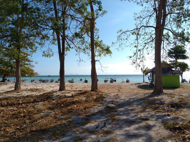 再度サンライズビーチに散歩へ<br />