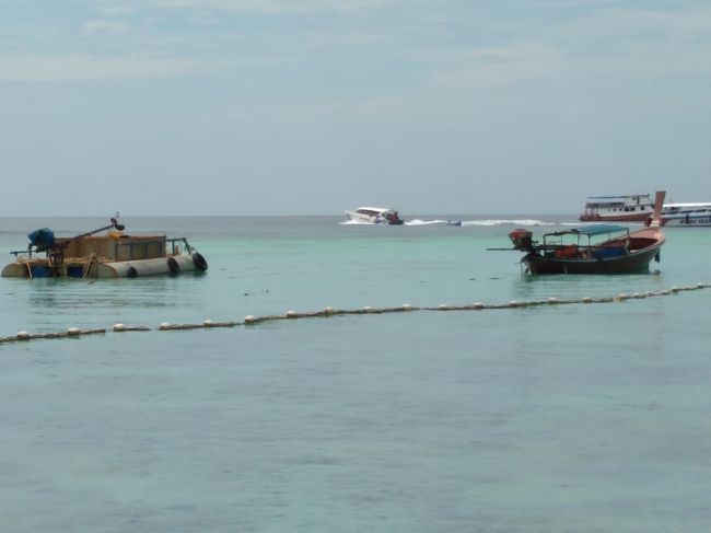 行ってしまいました。