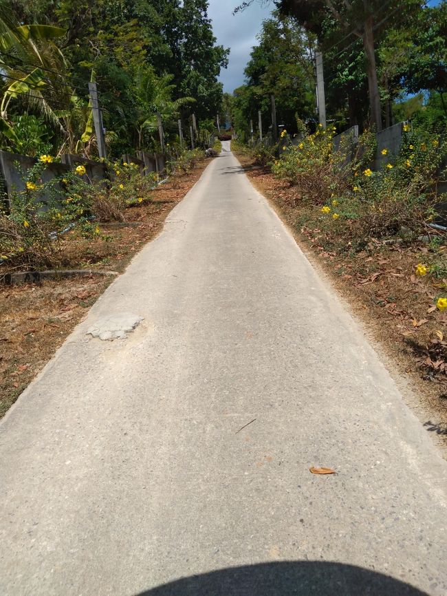 リゾート感あるホテルの敷地内