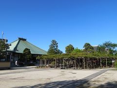 そうだあそこにも藤棚があったはずと思って遠征したら
おっと、藤ではなく松でした。
影向かいの松。推定樹齢六百年余りだそうです。

4/19