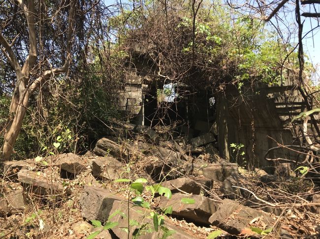 タエン寺院は密林の中にあり、所々残っている彫刻で見ると間違いなくベンメリアかアンコールワットと同じ時代にできたと言う事がわかっている。