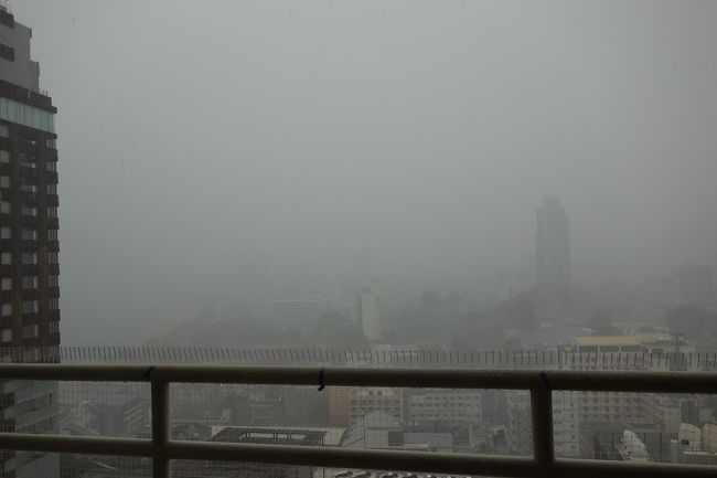 ほれ、激しい雨だ．．．弱者は辛いね．．．でもガンバレ！．．．田舎に帰っても仕事はないぞ！