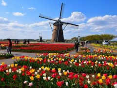 しっかし、どうでしょう。
中止となっていても予想通り、カラフルなチューリップが満開となっていました。