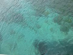 ヒリゾ海岸

澄んでいて海底が見える
エメラルドグリーン！すごいきれいっ