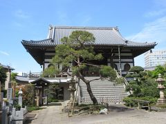 夏目坂を上がったところに建つ浄土宗寺院・来迎寺へ。
木造の歴史を感じる山門、本堂に彫られた龍、境内に植えられた松と柳の大木、本堂横に造られた緑豊かな空間など、静かで落ち着きが感じられる寺です。