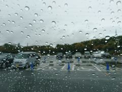 激しい雨

途中は小雨だったのに
駐車場に入ったら
出たくない雨が降ってきた