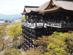 清水寺の本殿です。