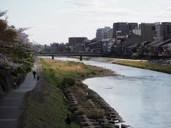 鴨川沿いです。