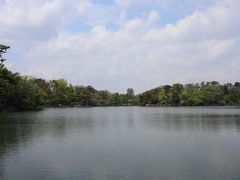 東急池上線の「洗足駅」で下車すると、目の前が洗足池公園になります。スワンボートも手漕ぎボートもいない、水鳥たちの姿もない静かな池。