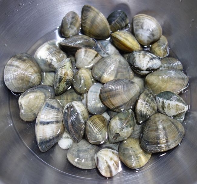 アサリ貝に似ていますが？．．．1Kg　60B　≒　210円　お買い上げ～