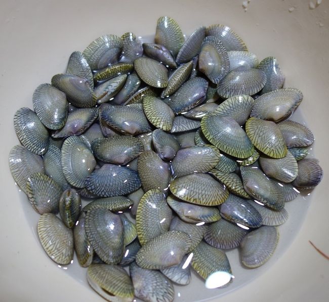 ホイライ．．．1Kg　120B　≒　420円　お買い上げ～