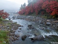 早朝の巴川。まだ、陽は登っていません