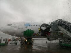 桃園空港はあいにくの雨。
いつものバットばつ丸号で福岡に帰ります。