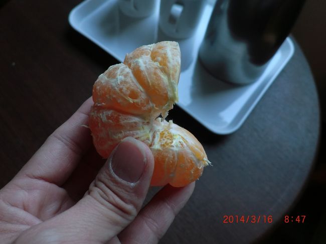 お部屋で昨日イさんに買って<br />貰ったハルラボンを食べながら<br />眺めていました。