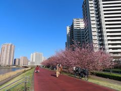 隅田川の土手