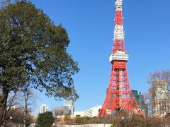 JRで浜松町まで行って、そこから歩いて赤羽橋にある領事部へ。
受付は9時半スタートでまだ早すぎるので、東京タワーや公園のお花を見ながら、ゆっくりと歩いて行きます。