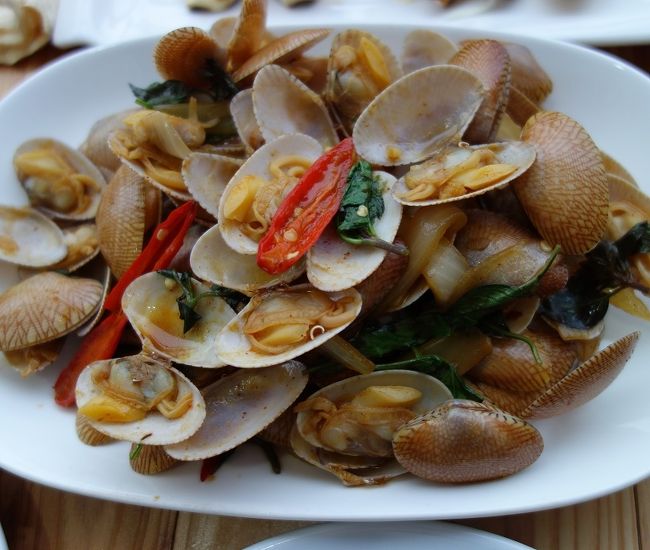 ホイライペーッ◎