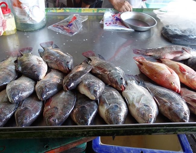 ブァカーオ.タラート<br />淡水魚店　<br />イカ　海老　良い物が無いので買ったことありません。