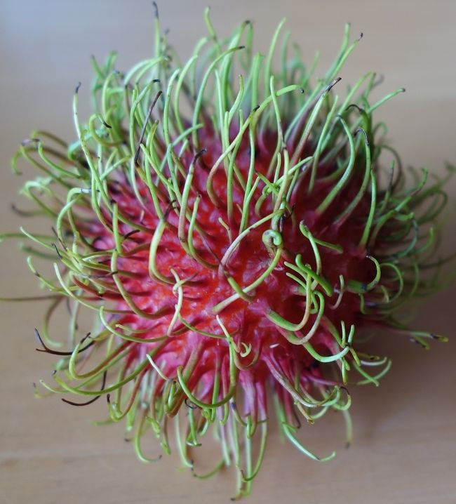 コロナ.ウイルス　？??<br />　　<br />日に日に安くなるランプータン（ンゴ）は良い物で1Kg　40バーツでした。