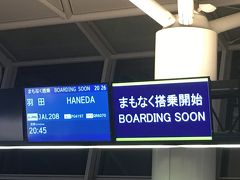 JL208で帰京します。737-800（国際線仕様）です。