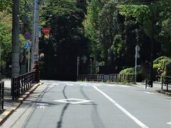 言問通りが不忍通りと交わる根津の交差点から善光寺坂(東大へ向かう弥生坂の反対側)を上りきってしばらく進み、寛永寺へと向かってT字路を右に曲がると見えて来るのが、この景色です。PHOの知る限りでも半世紀ほど変わっていないのは間違い有りません。
見えているドームは東京国立博物館内に在る表慶館です。此処はPHOの通学路だった道で、母校の台東区立上野中学校はこの左。寛永寺の敷地の一部を借りて建っています。ついでに言えば右は芸大で、突き当たりを左へ折れて道なりに進むと、鶯谷駅南口前の新坂橋から、かの有名なラブホ街が見渡せます