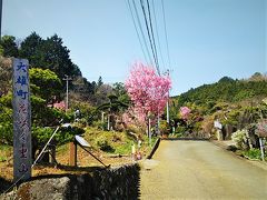 花咲く里山