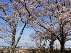 松坂城跡