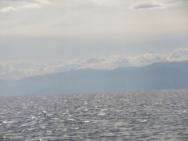 猫探し ルワンダ キブ湖 Lake Kivu 編 その2 その他の都市 ルワンダ の旅行記 ブログ By 猫探しさん フォートラベル