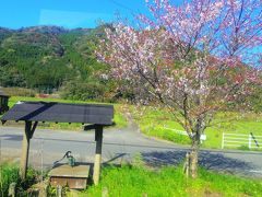 駒鳴駅に停車中の1枚で「素敵すぎるやろ」と思ったら、映画のロケでも使われた駅だそうで、PR看板もありました。

ちなみにその映画は『僕達急行 A列車で行こう』で、私は見た事あるけど内容忘れています。。