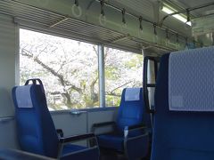 浦ノ崎駅は満開の桜トンネルで凄かった。
本当に上まで桜で、
今まで経験した中で一番の桜トンネルでした。

ちなみに、駅にはワンマンカーの乗客よりも多くのカメラマンがいたのですが、下車する人はいても、乗ってくる人はいませんでした。表紙写真もこの辺です。