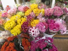 まず向かったのはフラワー・マーケット。花屋が並んだ一角です。
色とりどりの花が並んだ美しい街並みです。
