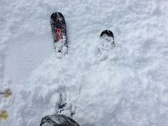 見てください！この粉雪！