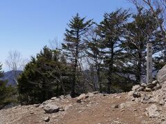 １２：３０、雲取山山頂に到着。
登山時間約３時間１５分。標準タイムよりも２時間程度短縮した。

ちなみに雲取山は山梨県と東京都それぞれに山頂標識がある。
こちらは山梨県側の山頂標識となる。このあと東京都側の山頂にも向かいます。