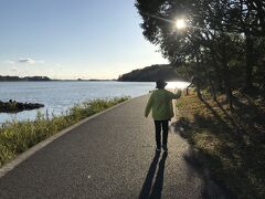 食べるばかりの年末年始。
母のお散歩に付き合い、佐鳴湖1周4キロを歩く。
