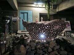 夏・秋会期には北浜alleyと大運ビルで「北浜の小さな香川ギャラリー」プロジェクトが展開された（tk06～tk11）。