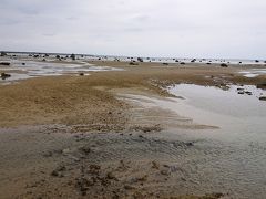 佐和田の浜