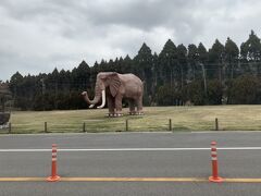 明礬温泉から塚原過ぎて進むと象のモニュメントがあります。こちらはアフリカンサファリの出入り口。